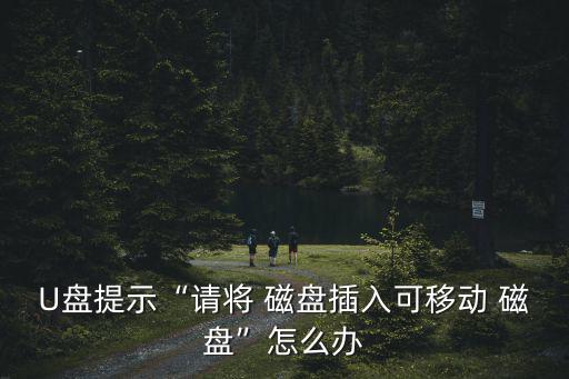 U盤提示“請將 磁盤插入可移動 磁盤”怎么辦