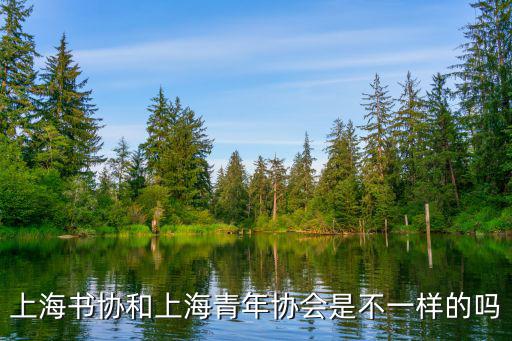 上海書協(xié)和上海青年協(xié)會(huì)是不一樣的嗎