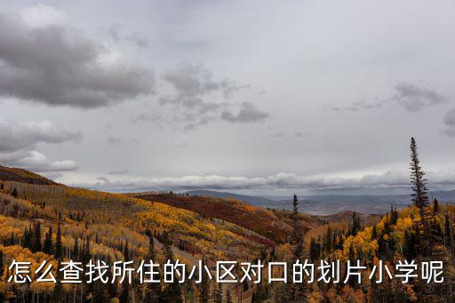 怎么查找所住的小區對口的劃片小學呢