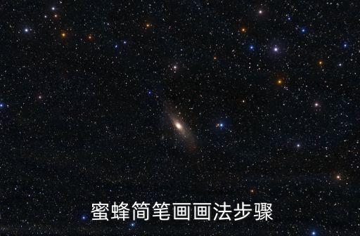  蜜蜂簡筆畫畫法步驟