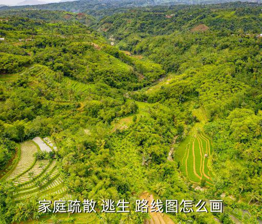 逃生路線,疏散標志逃生指示四個重要提示