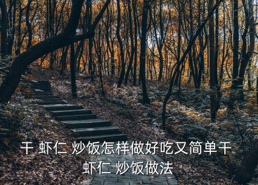 干 蝦仁 炒飯?jiān)鯓幼龊贸杂趾?jiǎn)單干 蝦仁 炒飯做法