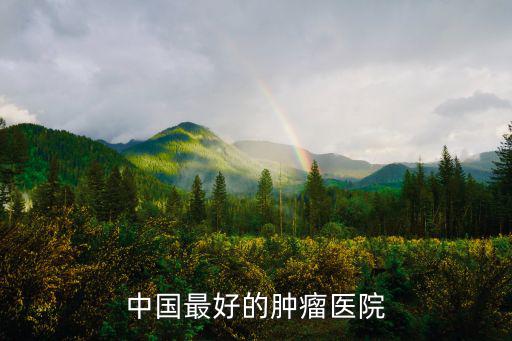 中國(guó)最好的腫瘤醫(yī)院