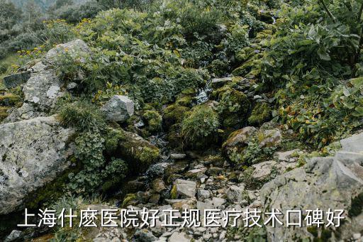 上海瑞金醫(yī)院進(jìn)修，上海什麼醫(yī)院好正規(guī)醫(yī)療技術(shù)口碑好