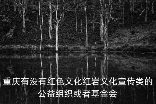重慶有沒有紅色文化紅巖文化宣傳類的公益組織或者基金會