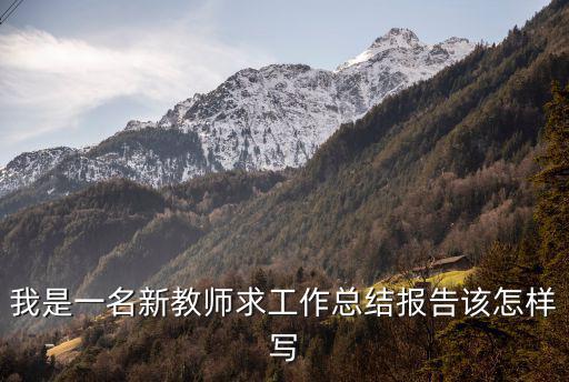 教師工作總結(jié)，我是一名新教師求工作總結(jié)報(bào)告該怎樣寫