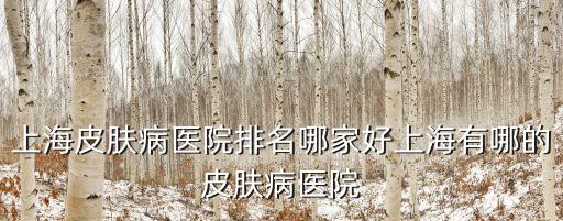 上海皮膚病醫院排名哪家好上海有哪的皮膚病醫院
