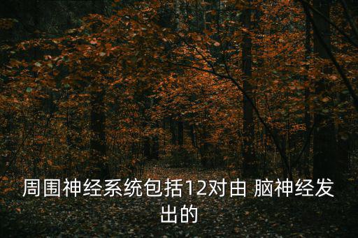 周圍神經系統包括12對由 腦神經發出的