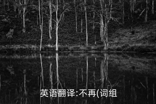  英語翻譯:不再(詞組