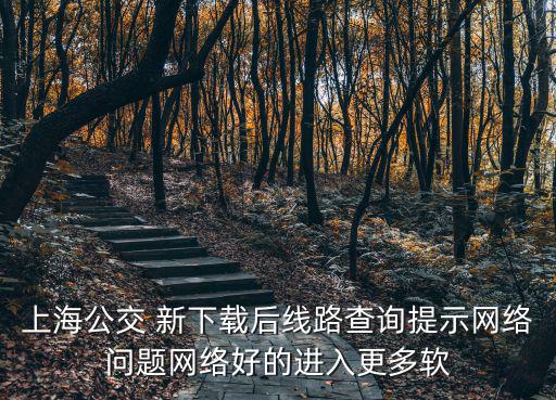 上海公交 新下載后線路查詢提示網絡問題網絡好的進入更多軟