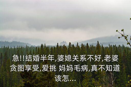急!!結婚半年,婆媳關系不好,老婆貪圖享受,愛挑 媽媽毛病,真不知道該怎...