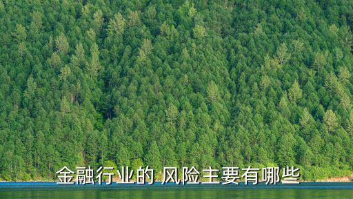  金融行業(yè)的 風(fēng)險主要有哪些