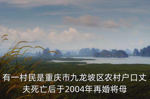有一村民是重慶市九龍坡區農村戶口丈夫死亡后于2004年再婚將母