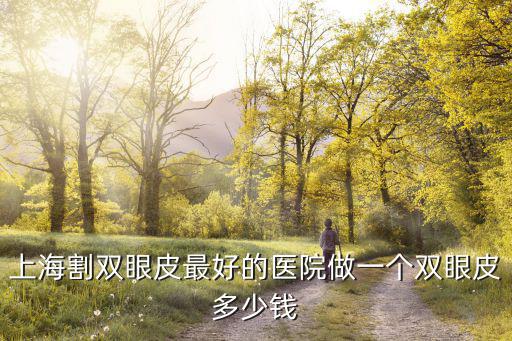 上海悅薇堂雙眼皮，上海割雙眼皮最好的醫(yī)院做一個雙眼皮多少錢