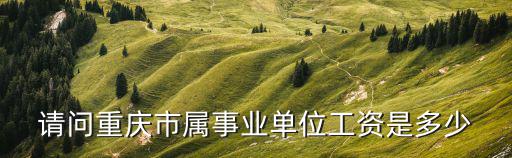 請問重慶市屬事業(yè)單位工資是多少