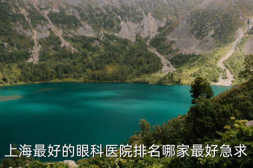 上海最好的眼科醫院排名哪家最好急求