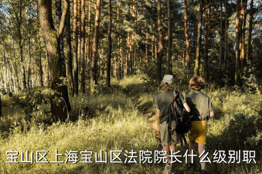 寶山區上海寶山區法院院長什么級別職