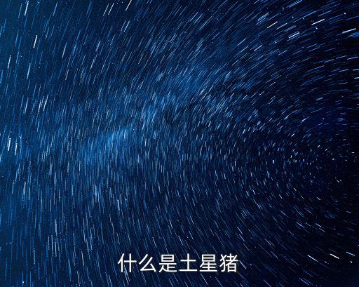 什么是土星豬