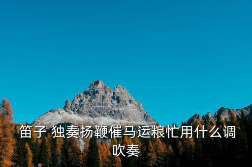  笛子 獨奏揚鞭催馬運糧忙用什么調(diào)吹奏