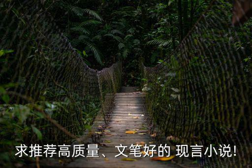 求推薦高質量、文筆好的 現言小說!