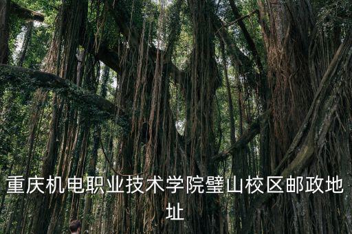 重慶市壁山郵政編碼，重慶市璧山區(qū)溫泉芋荷街16橦1單元41的郵政編碼