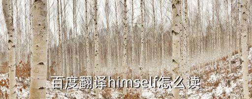 百度翻譯himself怎么讀