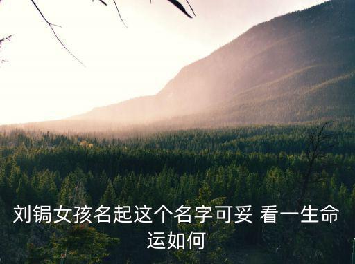 劉鋦女孩名起這個名字可妥 看一生命運如何