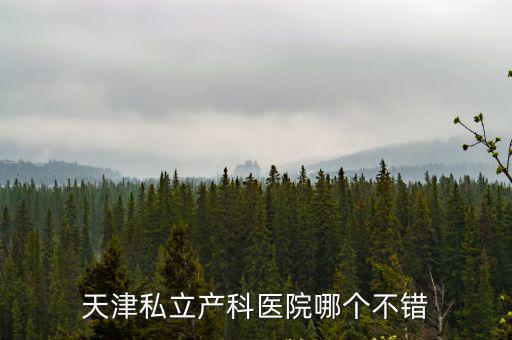 天津私立產科醫院哪個不錯