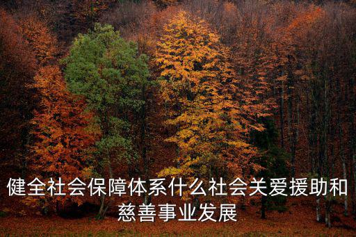 健全社會保障體系什么社會關愛援助和慈善事業發展