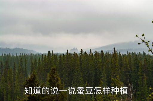 知道的說一說蠶豆怎樣種植