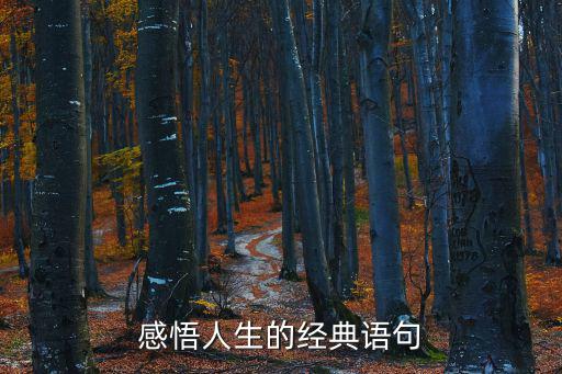 品味人生的經(jīng)典句子，經(jīng)典人生句子