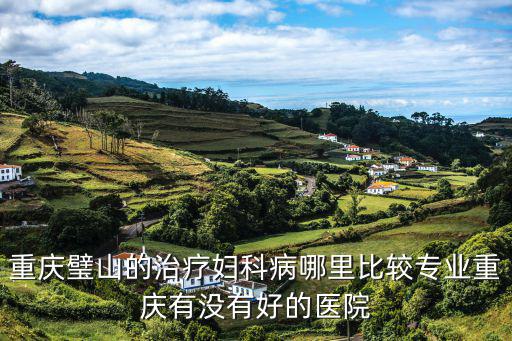 重慶璧山的治療婦科病哪里比較專(zhuān)業(yè)重慶有沒(méi)有好的醫(yī)院
