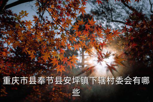 重慶市奉節安坪，奉節到安坪新治多少公里路