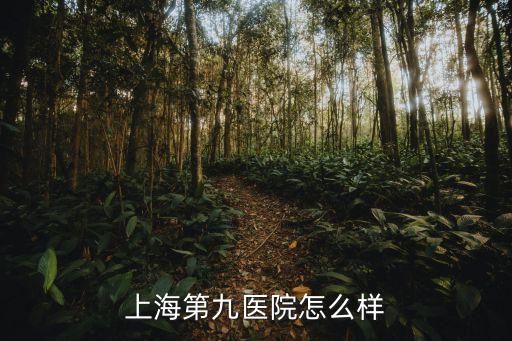 上海第九醫(yī)院怎么樣