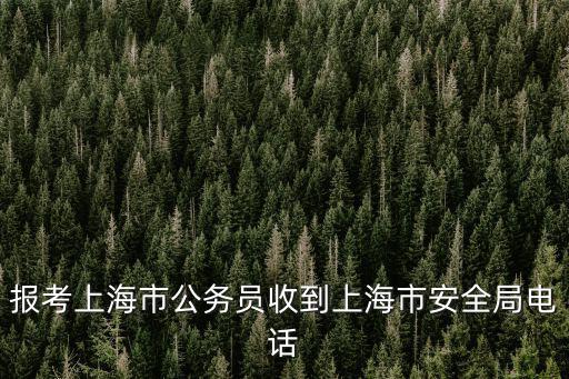 報考上海市公務員收到上海市安全局電話