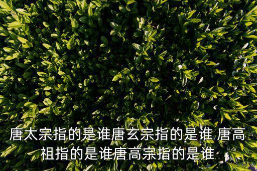 唐高祖是誰,劉邦、魏高祖、唐高祖等六朝高祖廟宇名稱