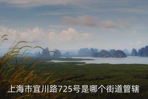 上海市宜川路725號是哪個街道管轄