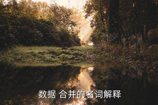  數(shù)據(jù) 合并的名詞解釋