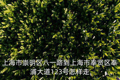 上海市八一路在哪個區，交大崇明校區建在哪里