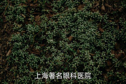 上海著名眼科醫(yī)院