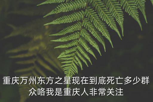 重慶市足球聯賽傷人事件，重慶南濱路2018年11月5日有打架事件嗎