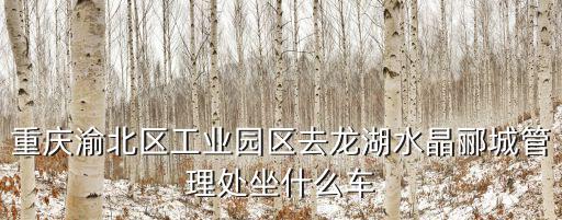 重慶渝北區(qū)工業(yè)園區(qū)去龍湖水晶酈城管理處坐什么車