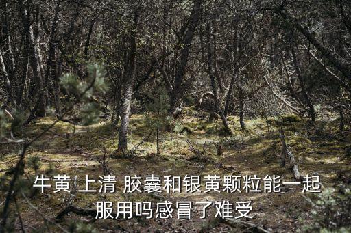  牛黃 上清 膠囊和銀黃顆粒能一起服用嗎感冒了難受