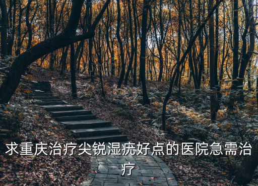 求重慶治療尖銳濕疣好點(diǎn)的醫(yī)院急需治療