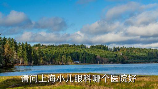 請問上海小兒眼科哪個醫院好