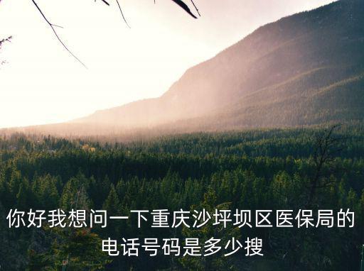 你好我想問一下重慶沙坪壩區醫保局的電話號碼是多少搜