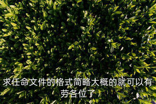 任免通知文件，公司董事監事經理的任免文件指什么