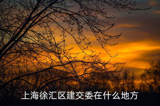 上海市建交于，上海徐匯區建交委在什么地方