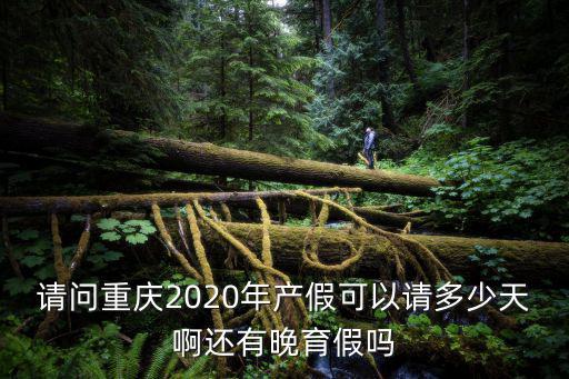 請問重慶2020年產(chǎn)假可以請多少天啊還有晚育假嗎