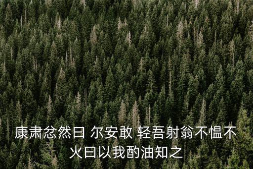 爾安敢輕吾射,你竟敢輕視我的箭術康樂聽后氣憤地說:為什么
